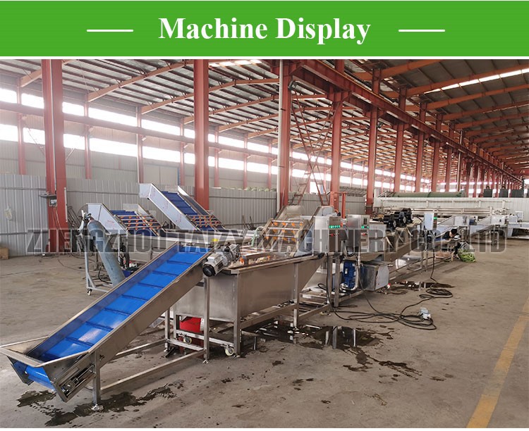 Vegetable Washing Line Equipment factory photo Vegetable Washing Line Equipment factory photo
