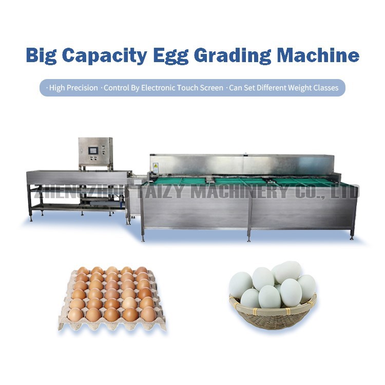 egg sorting equipment egg sorting equipment