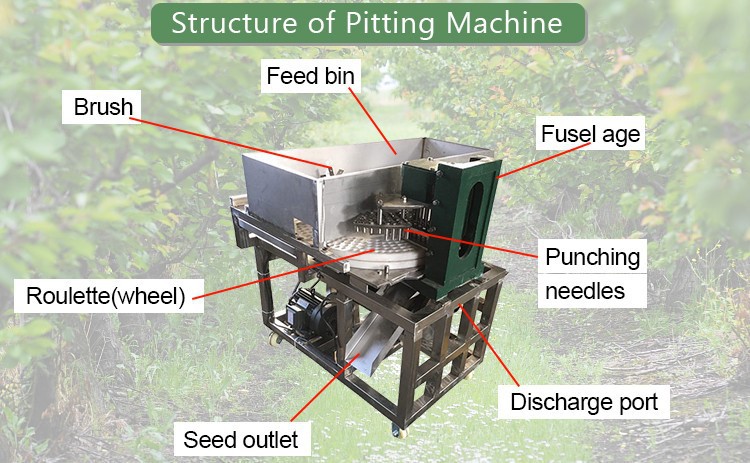 olive pitting machine olive pitting machine