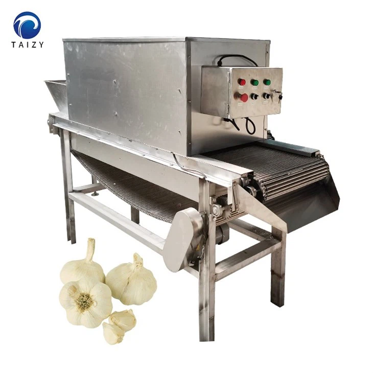 chain type garlic peeling machine-3