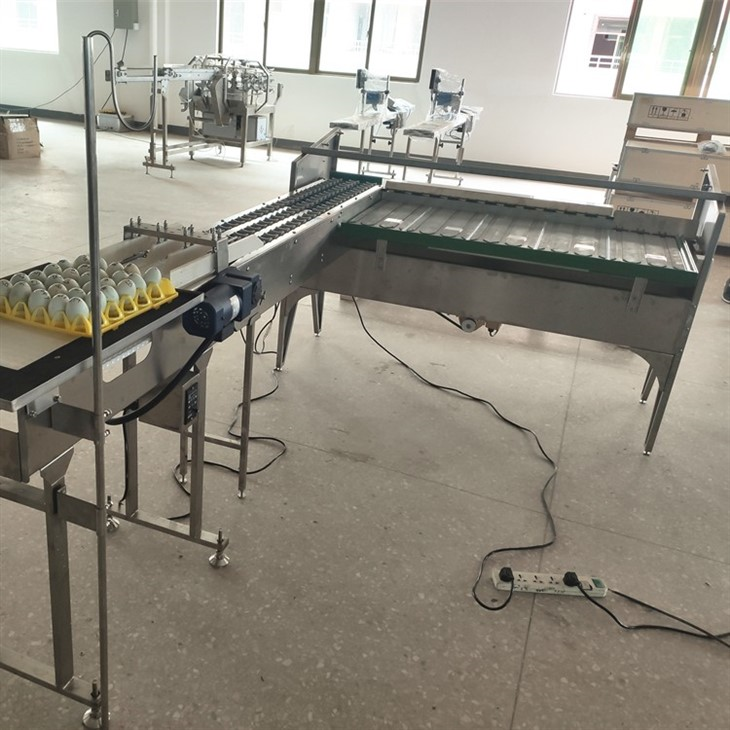 egg sorter (2)