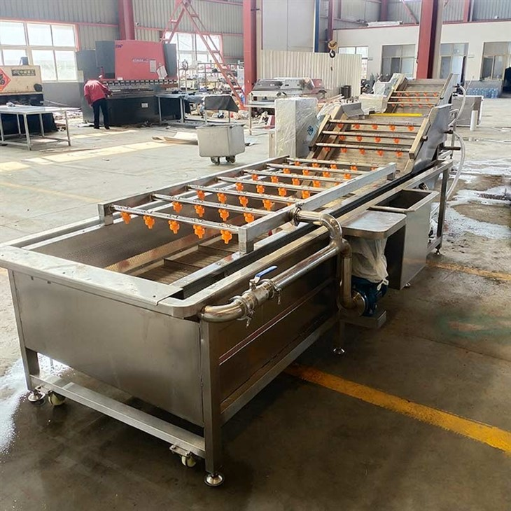 vegetable washing machine