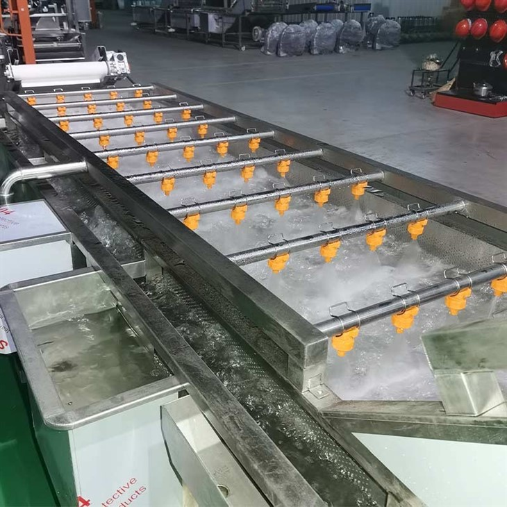 vegetable cleaning machine