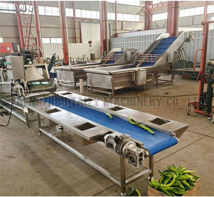 vegetable washing machine factory