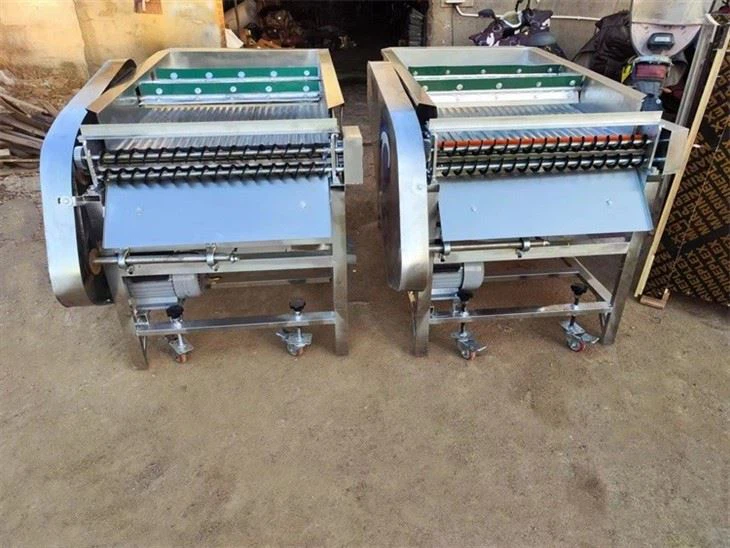 pea shelling machine (1)