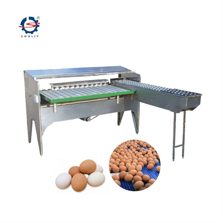 egg grading Sorting machine4