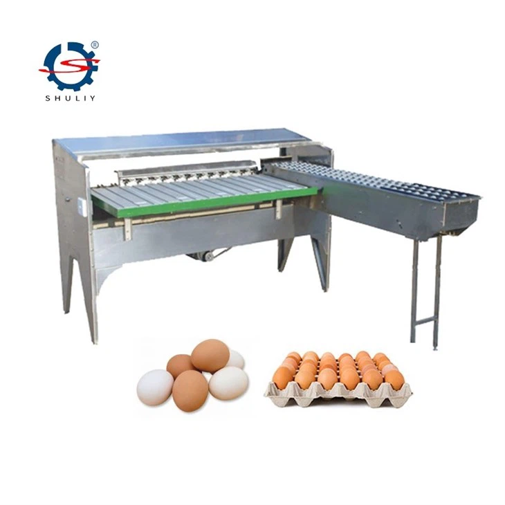 egg scale grader  (3)
