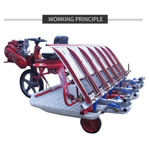 6 Ranje Rice Transplanter