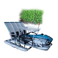 Machin Plantè Paddy