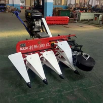 Wheat Reaper Binder machin